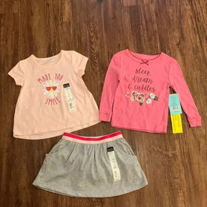Toddler Girls Clothing Bundle Tops, Skirt Size 18 Months